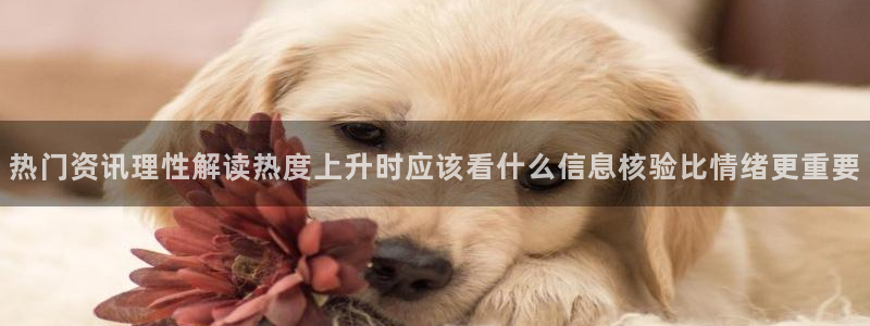 吃瓜群：热门资讯理性解读热度上升时应该看什么信息核验比情绪更重要